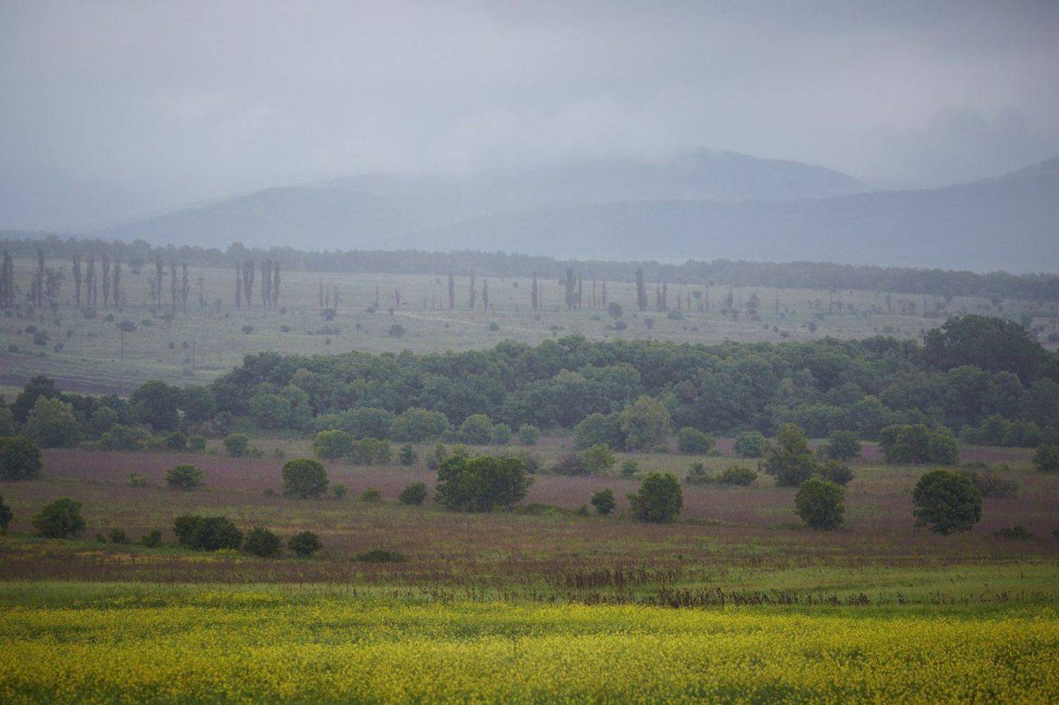 , Эдуард Перов