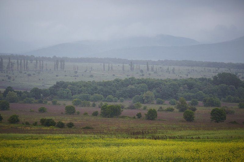 * фото превью