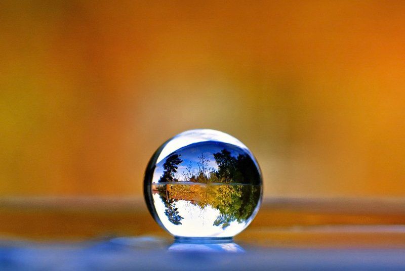 Outside my kitchen window фото превью