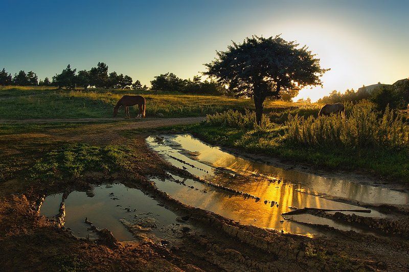 А солнце только-только встало... фото превью