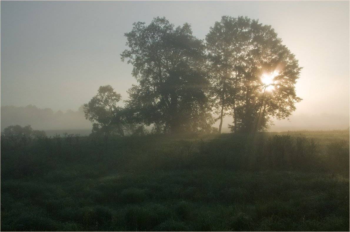 7.20, Николай Шахманцир