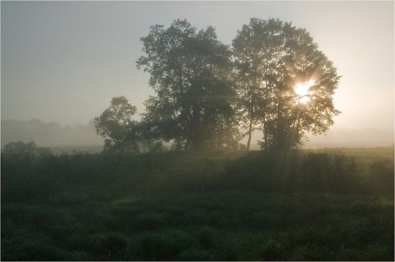 майским утром... фото превью
