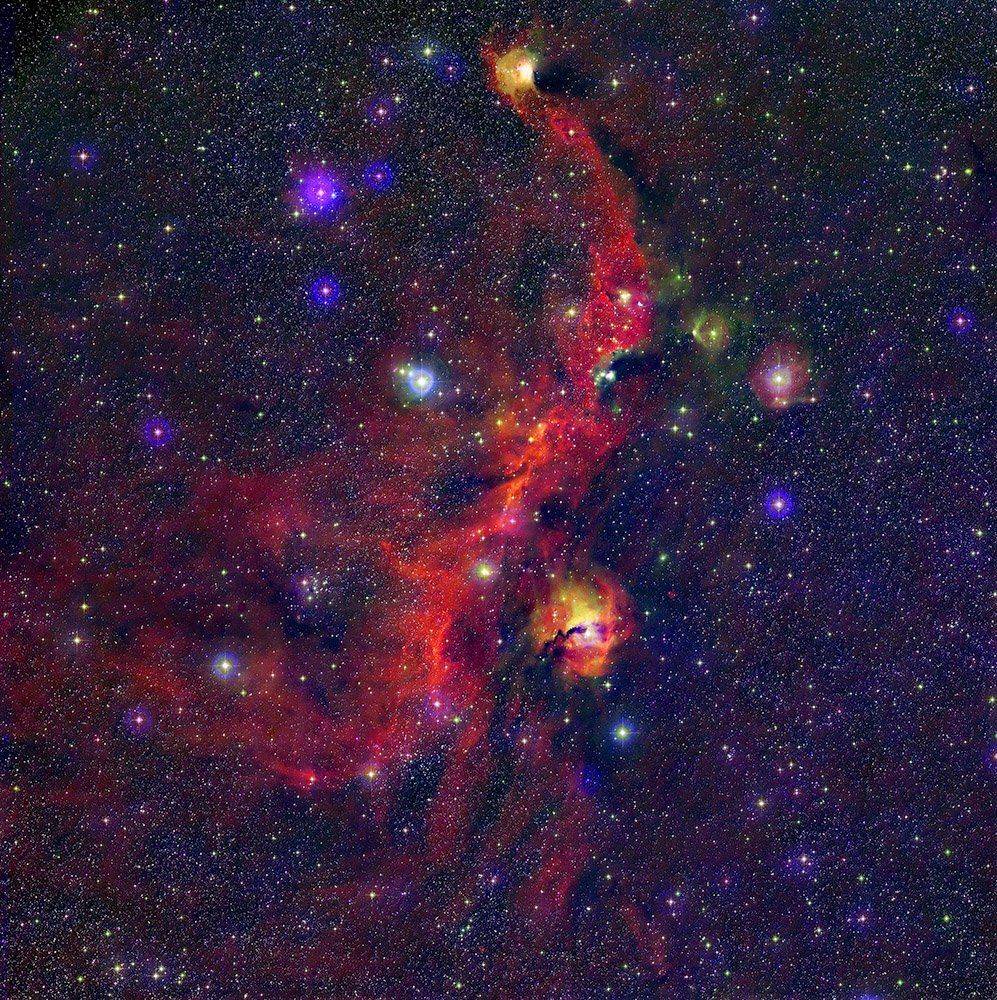 nebula, seagull, star, universe, Астрономия, Звёзды, Ночь, Туманность, Чайка, Konstantin Mironov