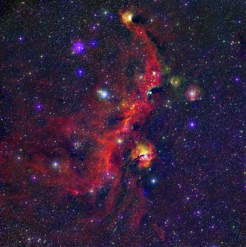 nebula, seagull, star, universe, Астрономия, Звёзды, Ночь, Туманность, Чайка Чайка фото превью