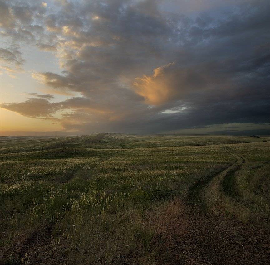 , Дeнис Бoдрoв