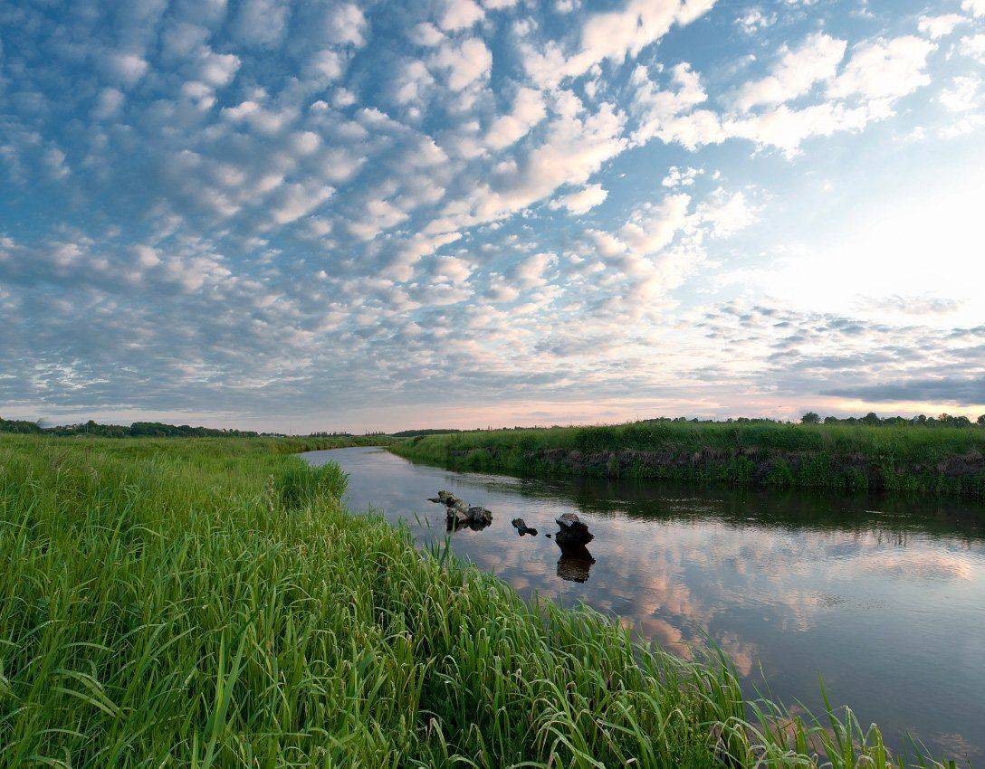 , Полищук И.В.