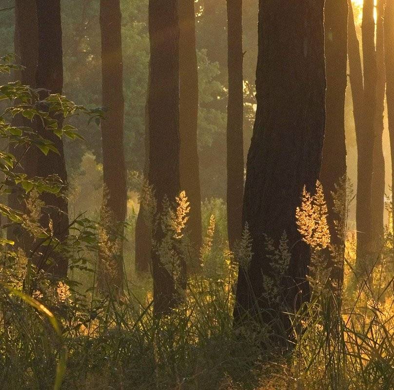 , Александр