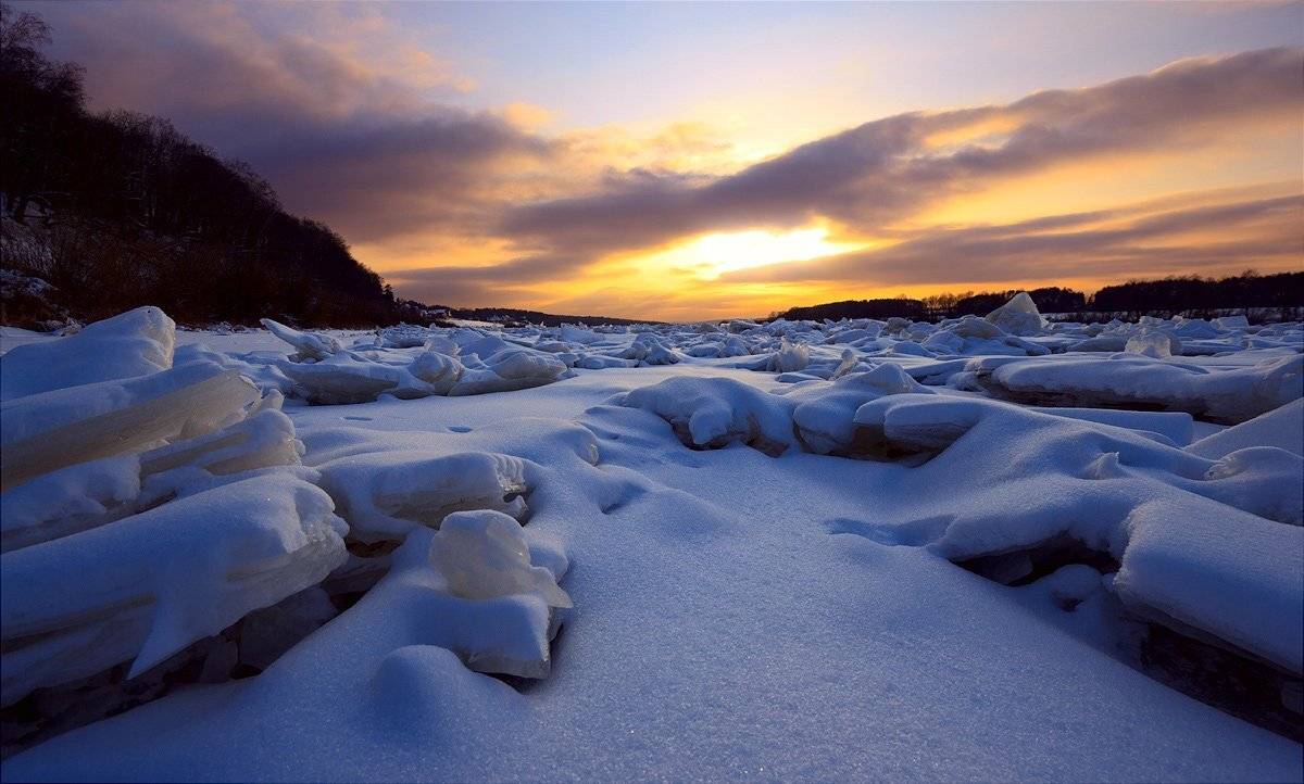 , Алексей Горохов