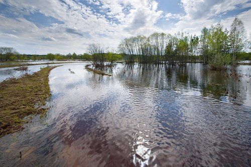 Типа дороги… или половодье в Мещере