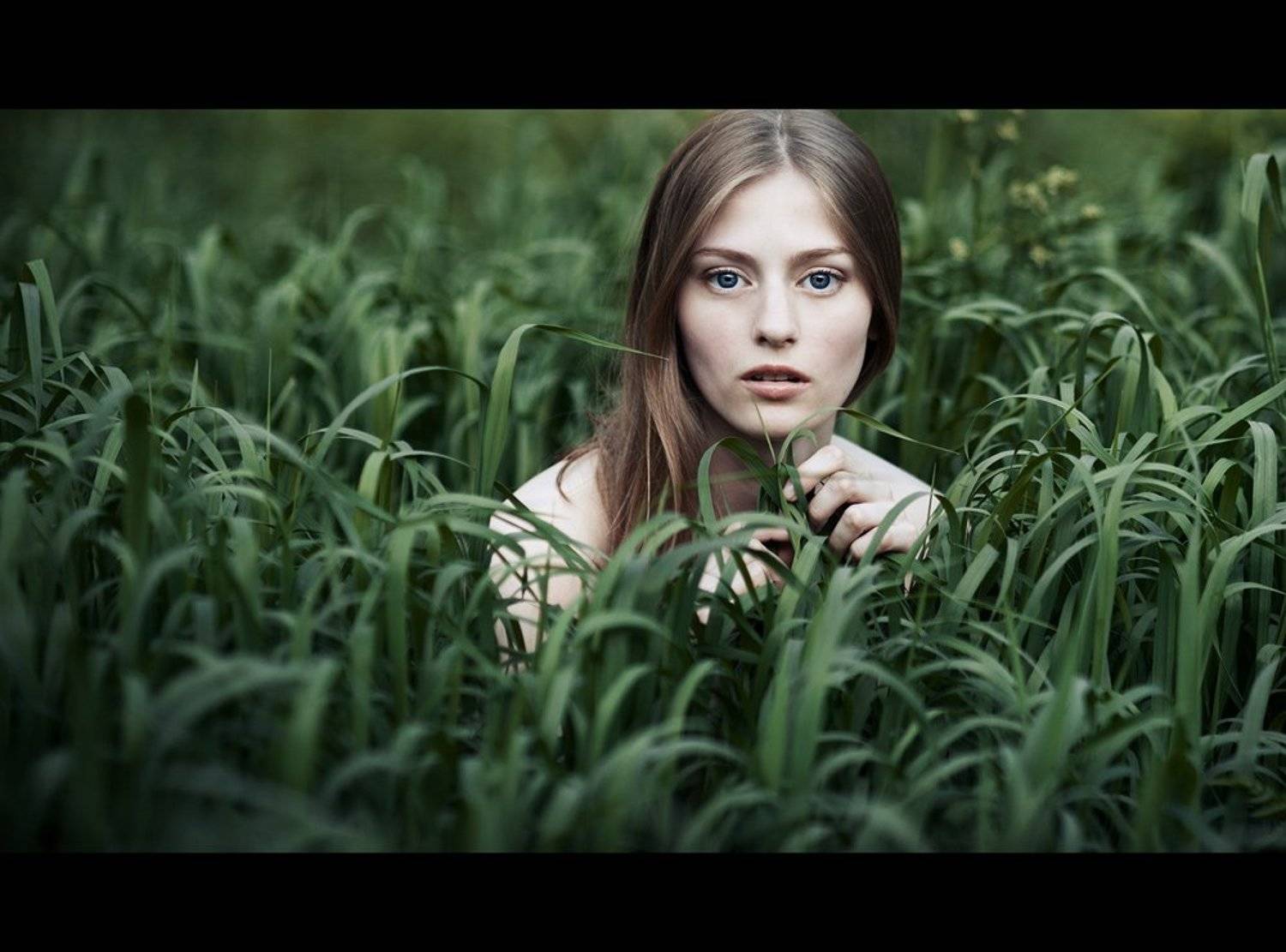 девушка, портрет, трава, глаза, Павел Рыженков