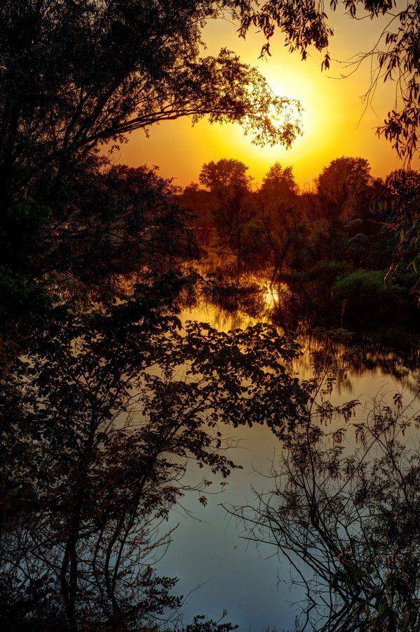 закат, небо, деревья, пейзаж, Феофанов Дмитрий