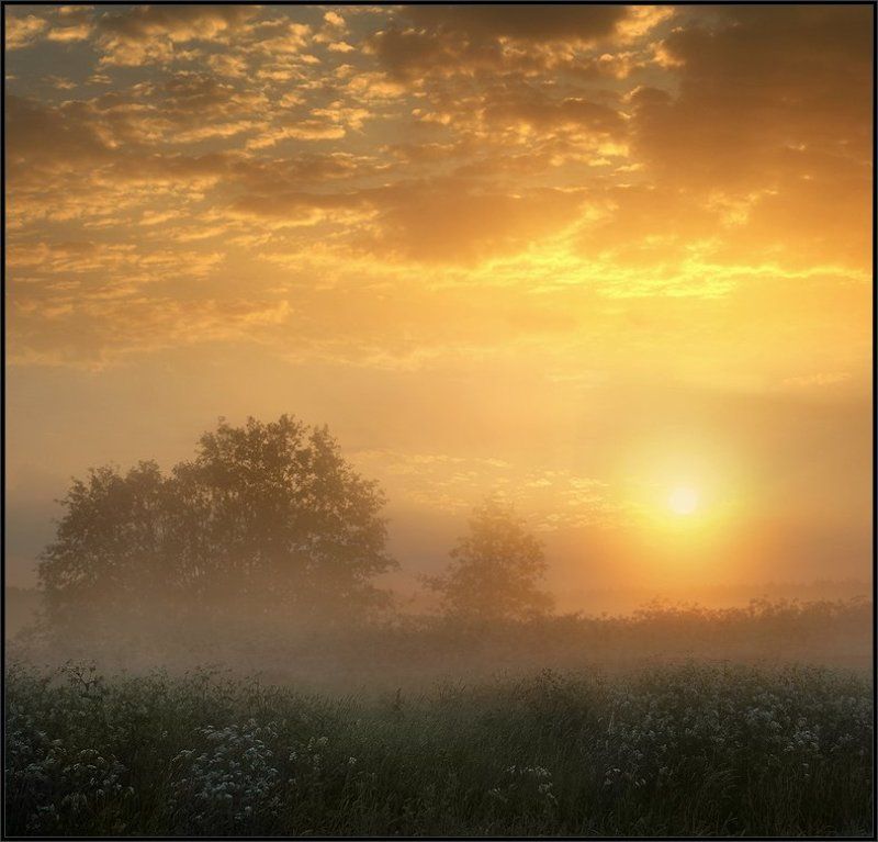 Тёплое утро фото превью