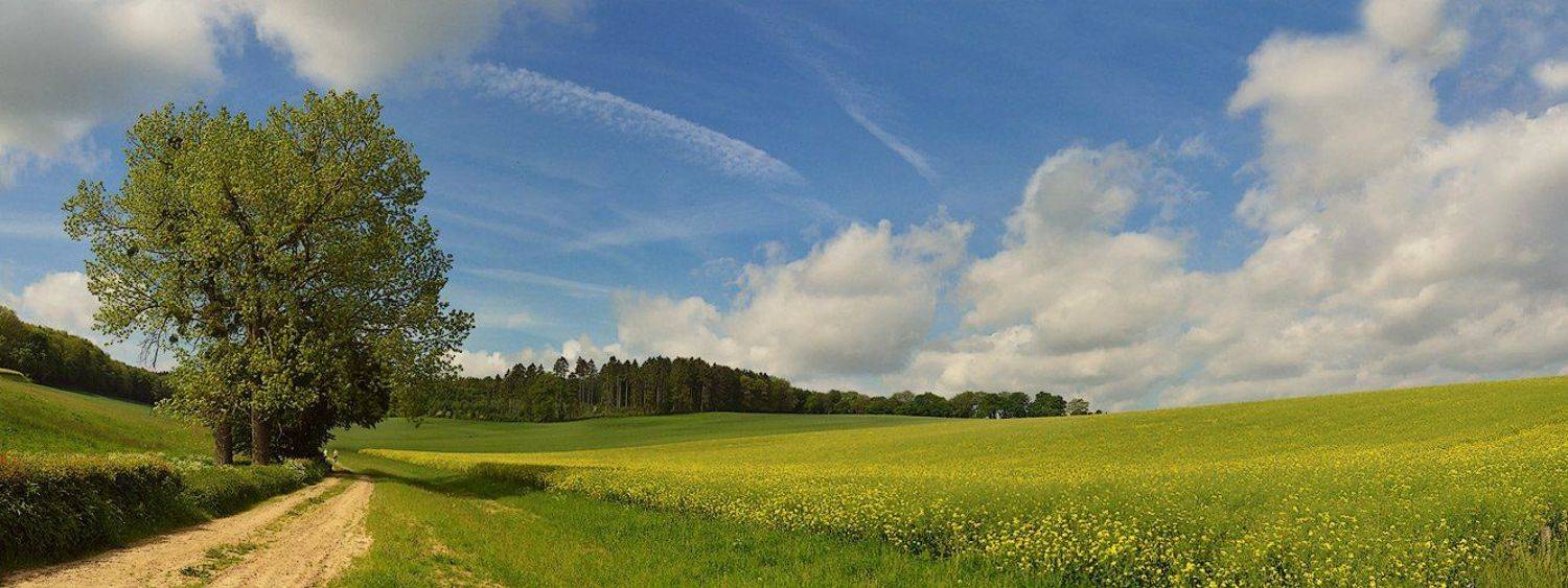 , Борис Алабугин