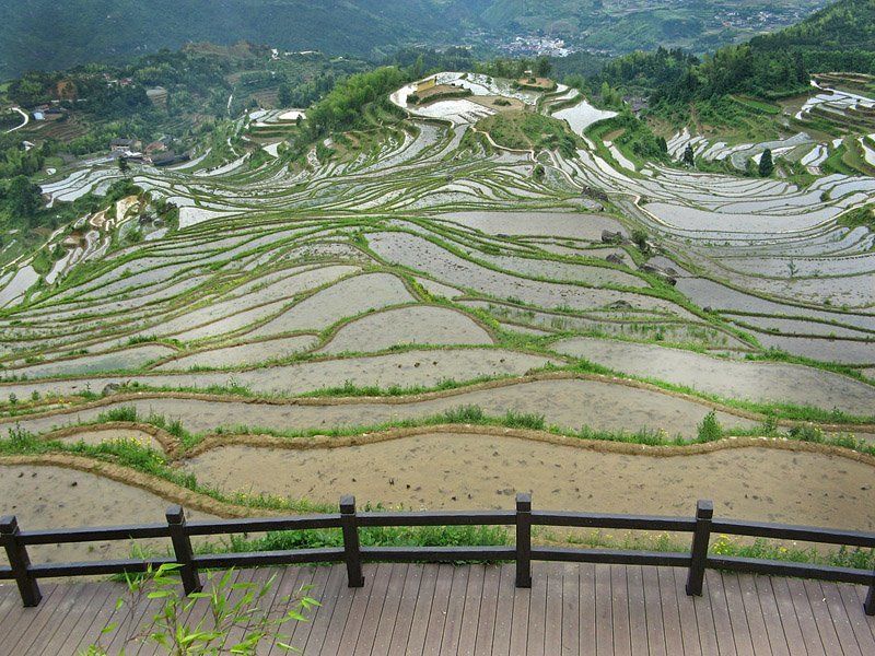 Китай фото превью