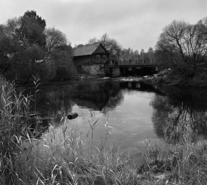 Прохладное спокойствие фото превью