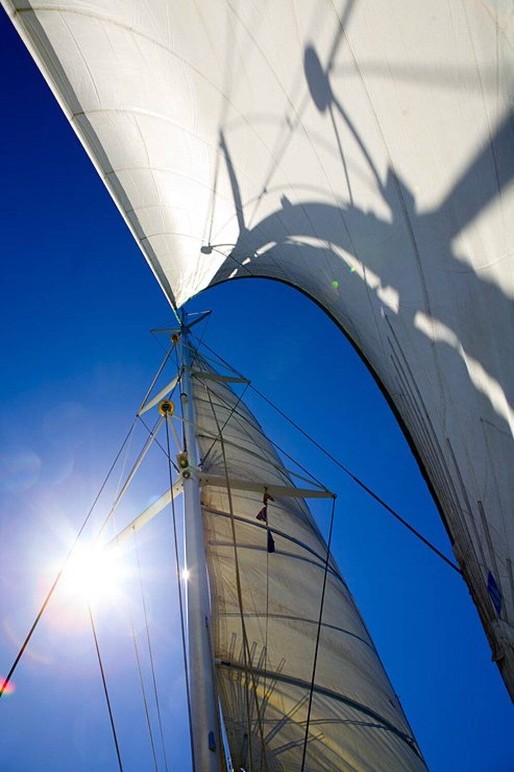 , Алексей Шлыков