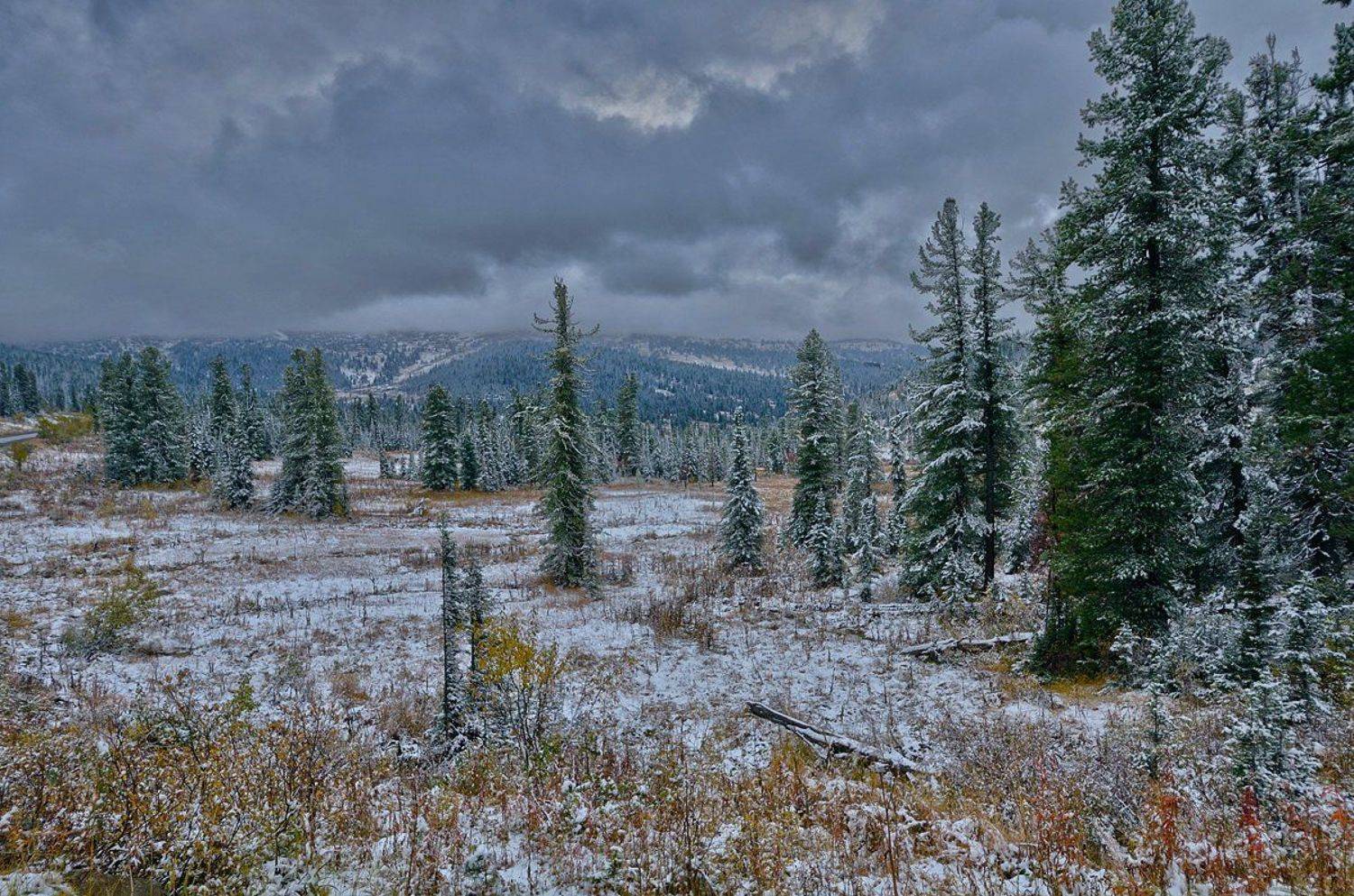 , Евгений strannik521