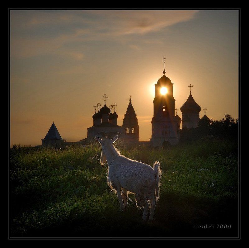 Прощальным взглядом фото превью