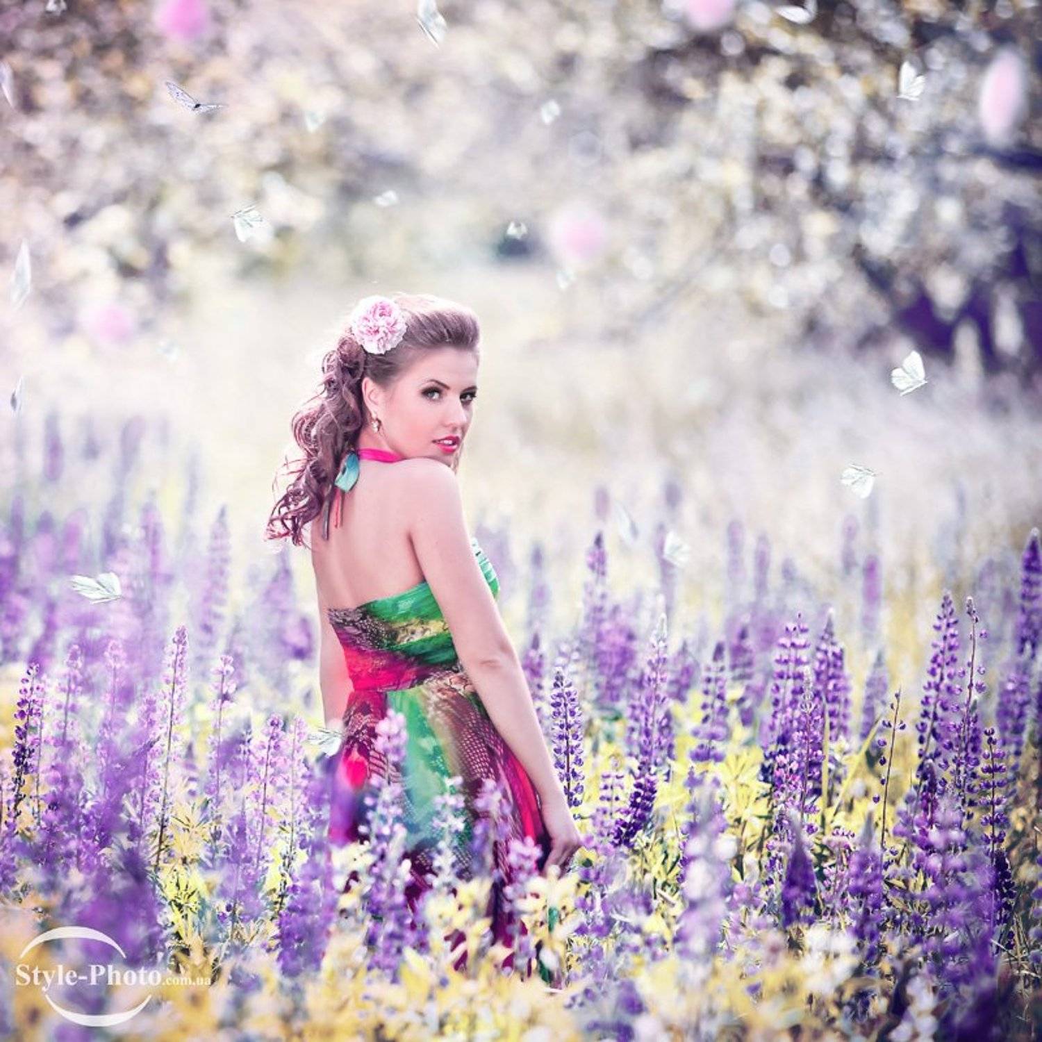 , &copy; Porohnyak Valentin