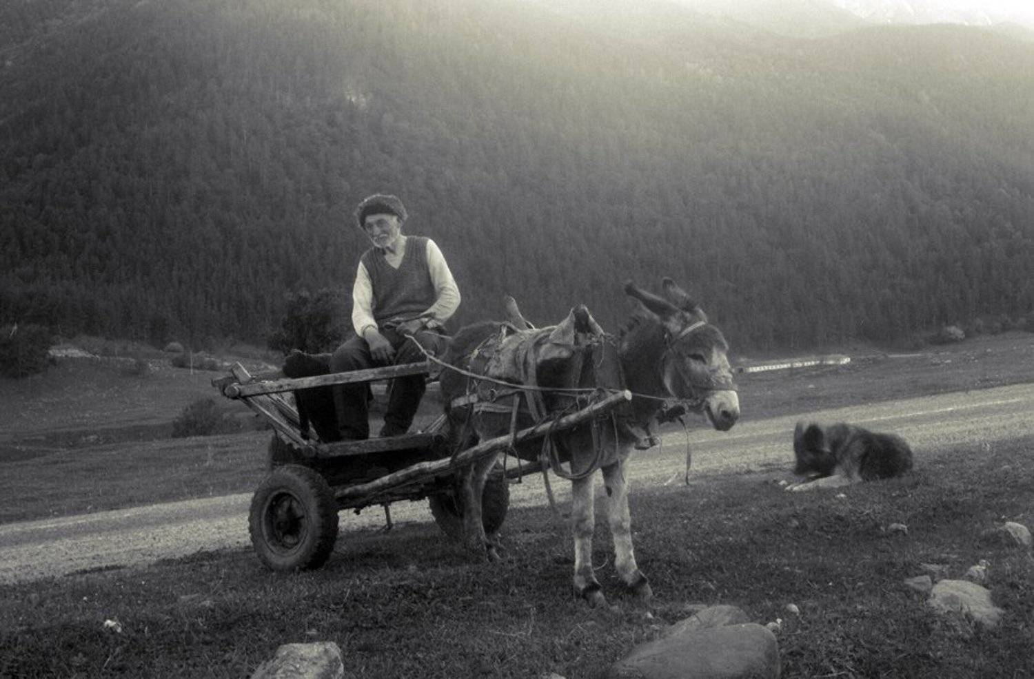 , Михаил Иоаниди