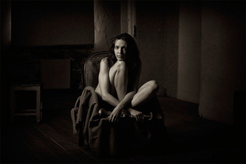 Паук фото превью