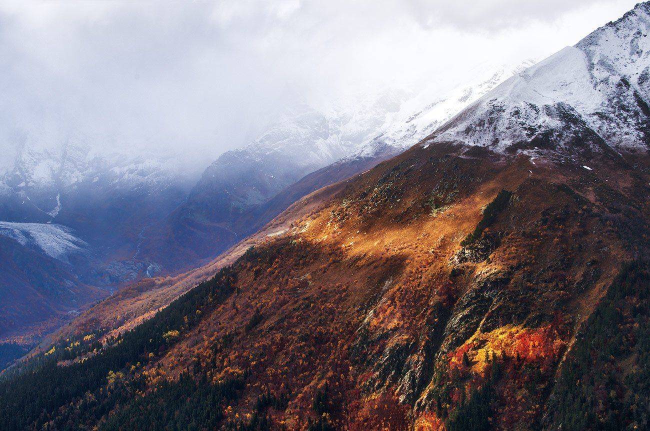 , Владимир Ляпин