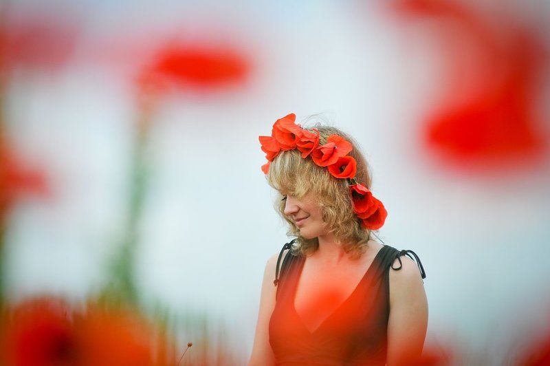 В маковых полях фото превью