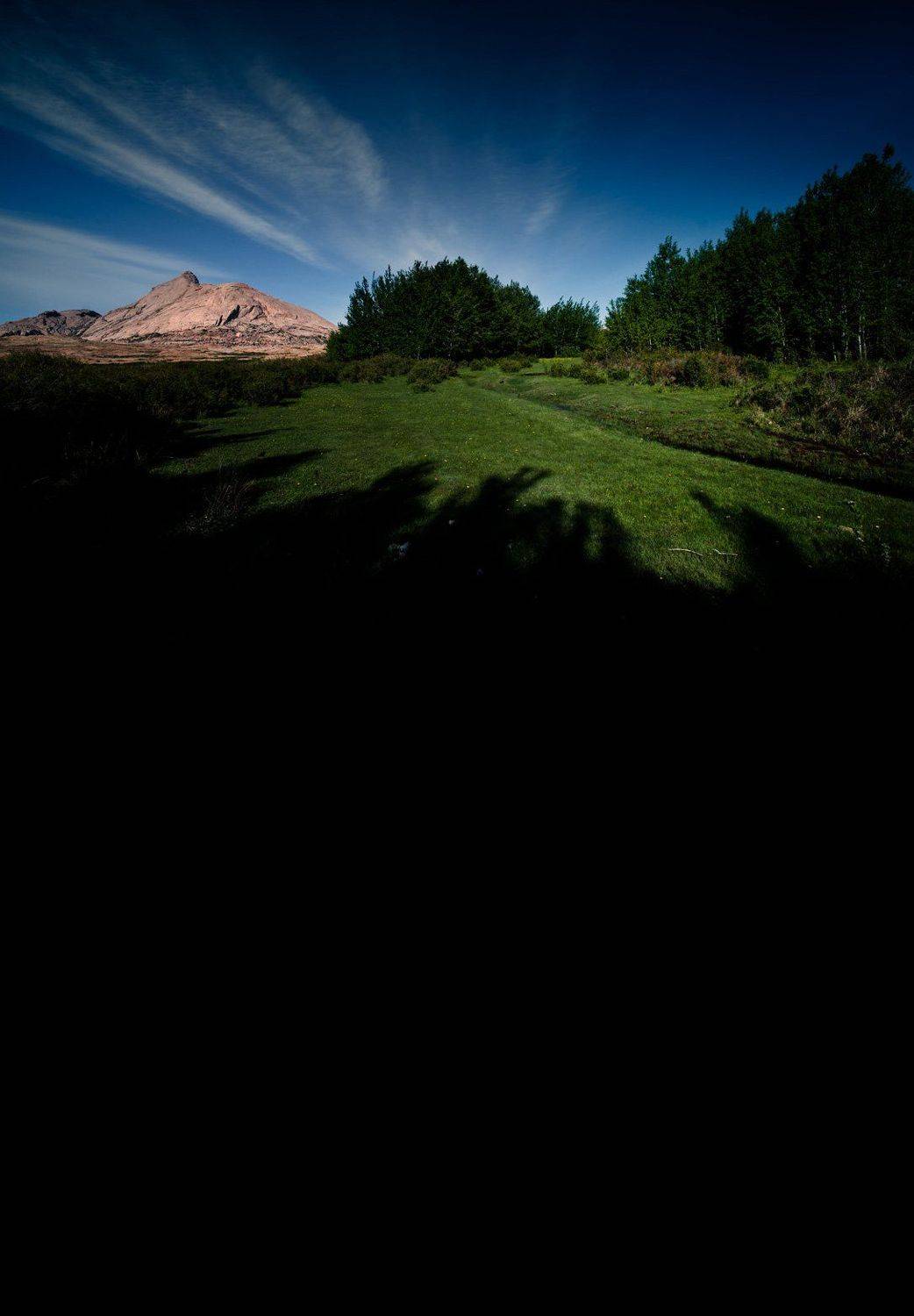 , Дмитрий Елисеев