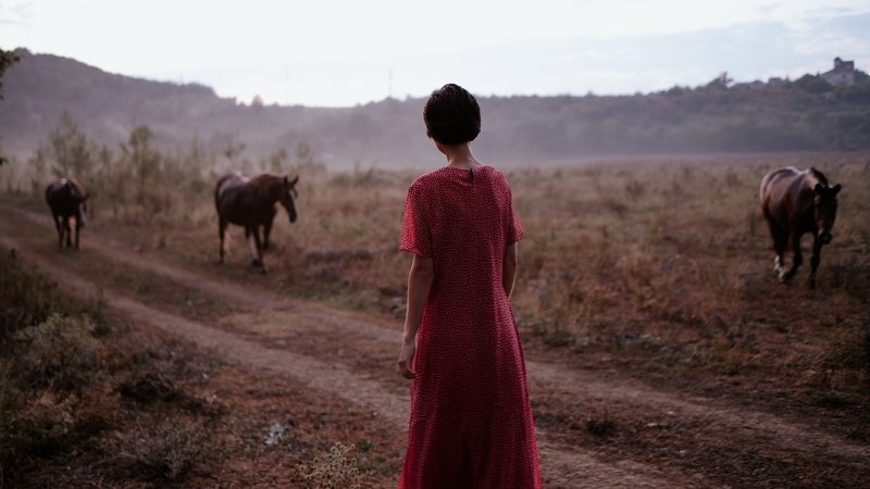 Портфолио фото превью