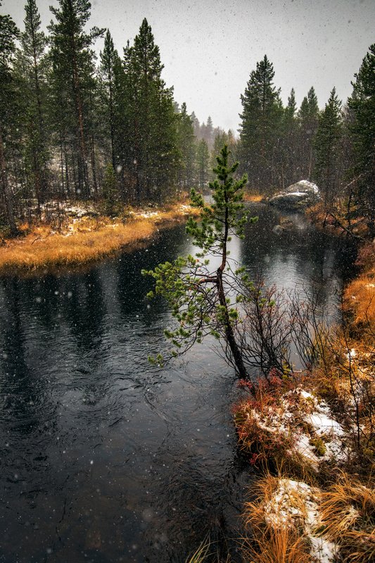 Осени ручей ... фото превью