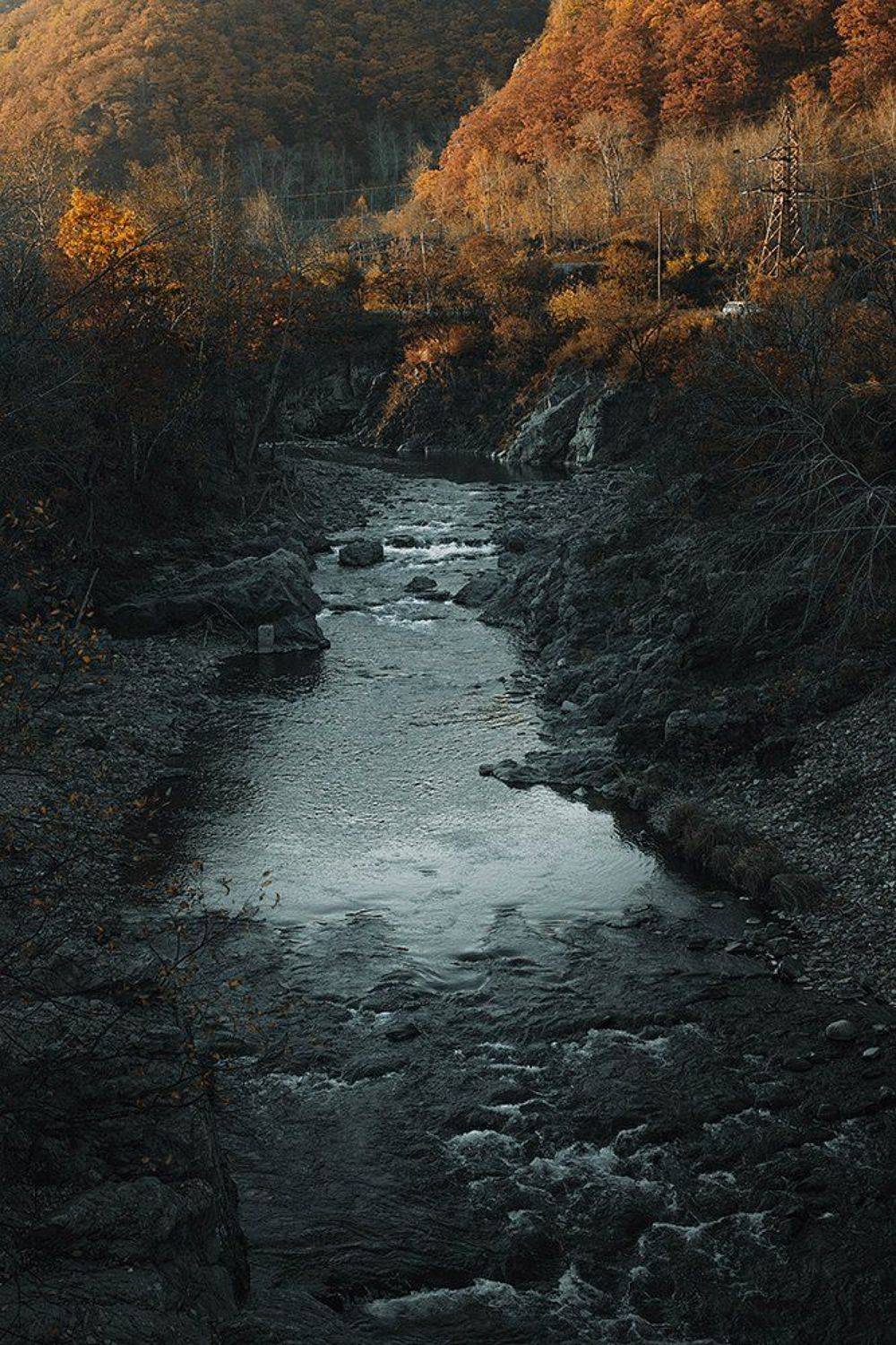 , Дмитрий Рудаков