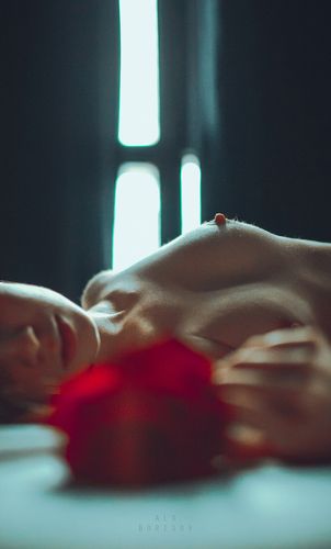 153_alllx