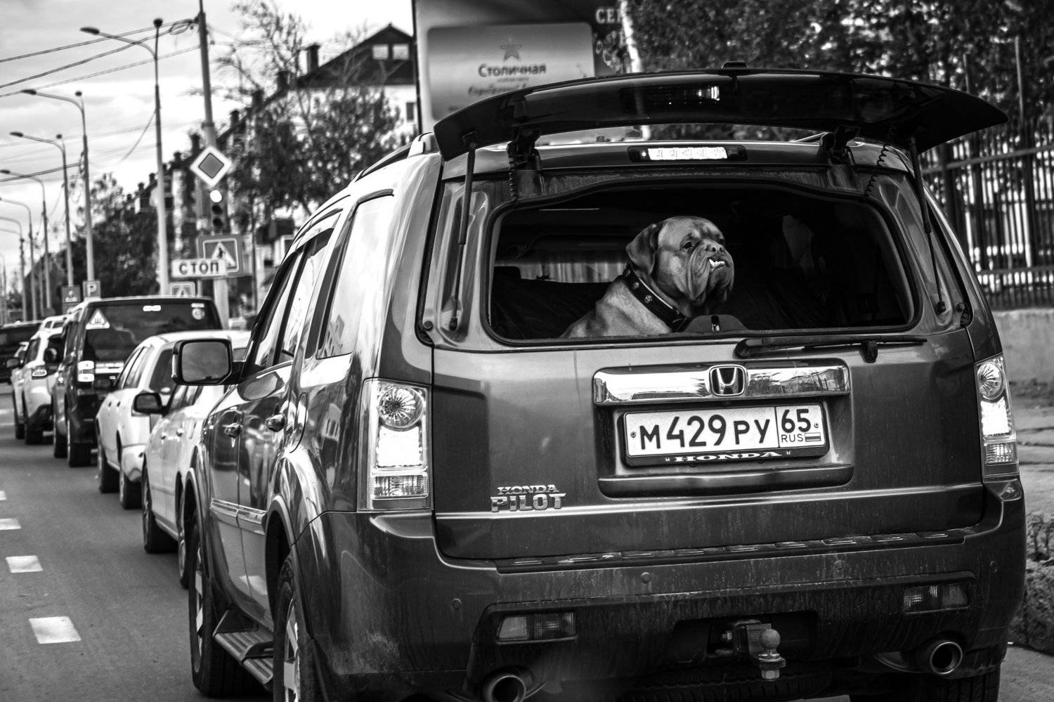 , Денис Винарь