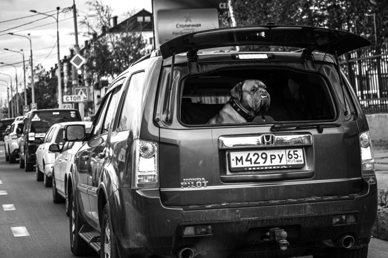 С работы фото превью