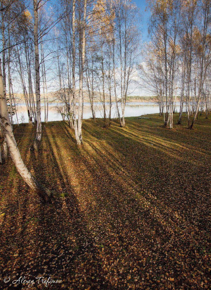 , Алексей Трофимов