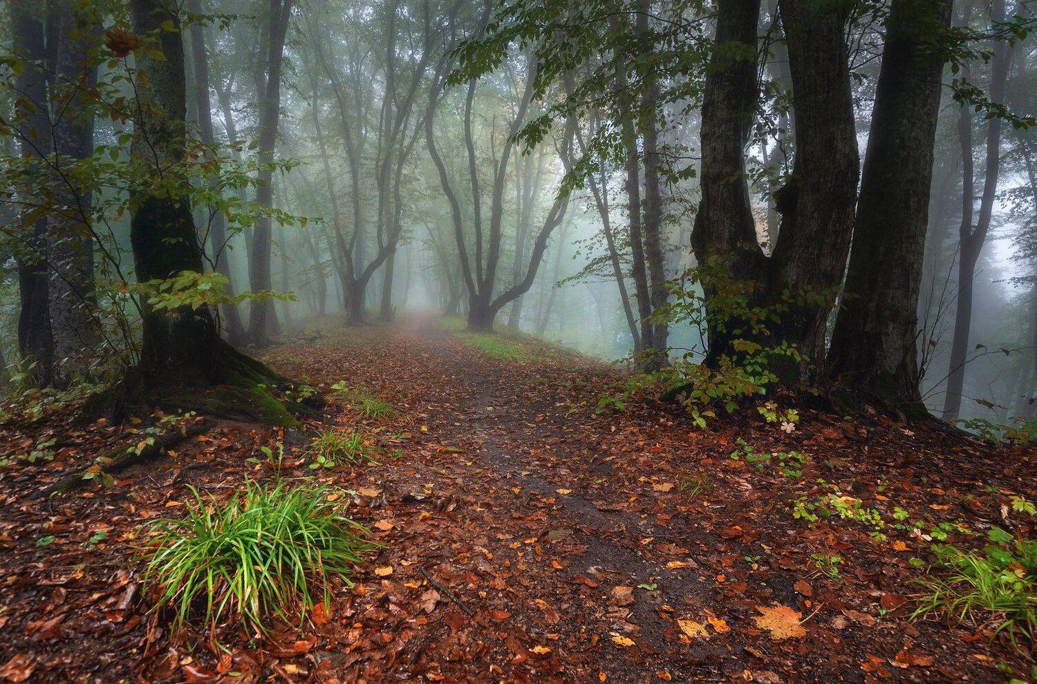 , Шевченко Юрий