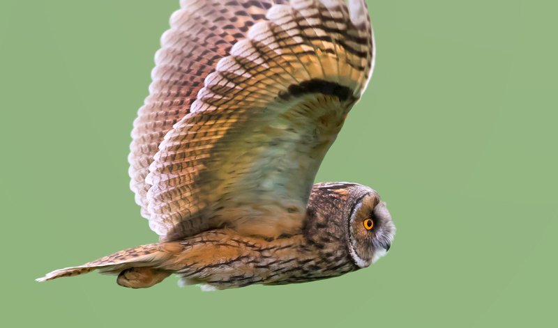 .-,-,.-.,,.-,.- фото превью