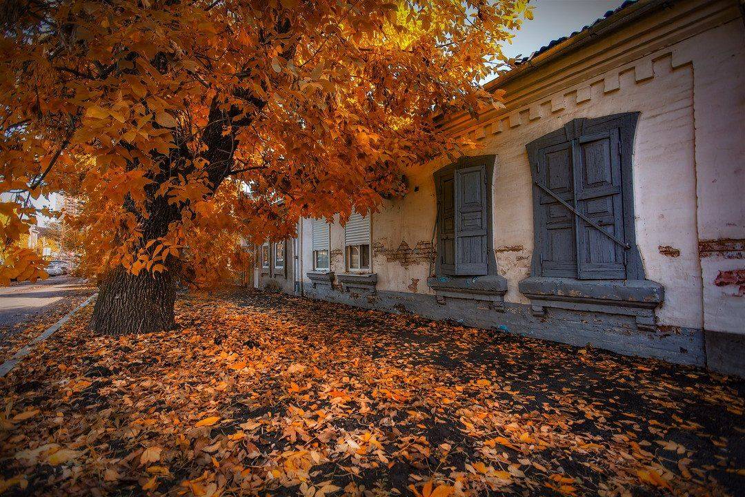 , Павел Сагайдак