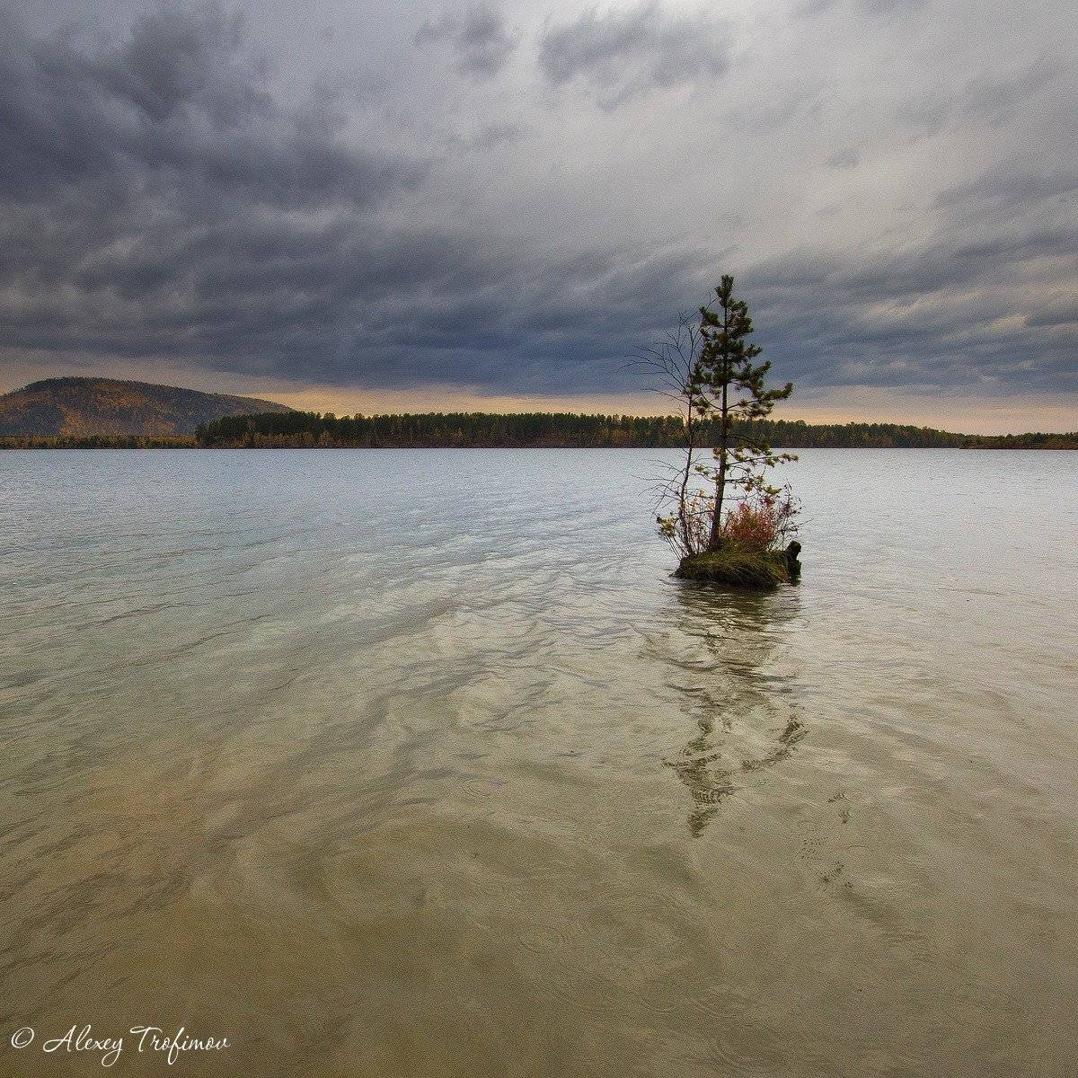 , Алексей Трофимов