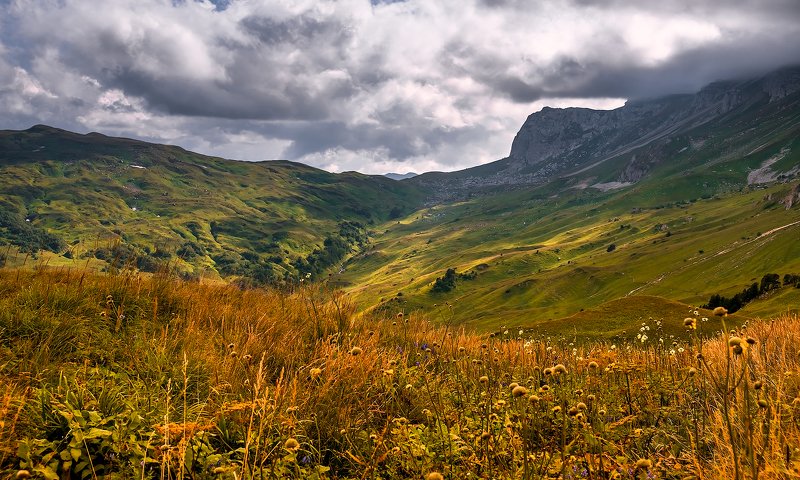Август на плато Лаго-Наки фото превью