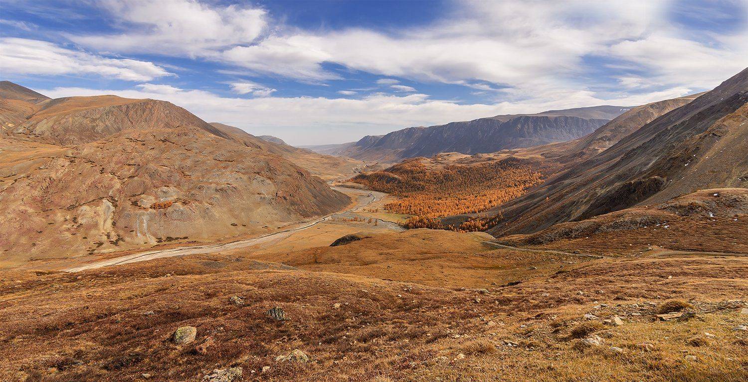 , Дмитрий Д.