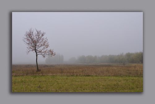 Картина, что писала Осень...