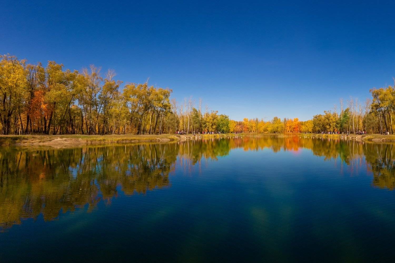 , Иващин Александр