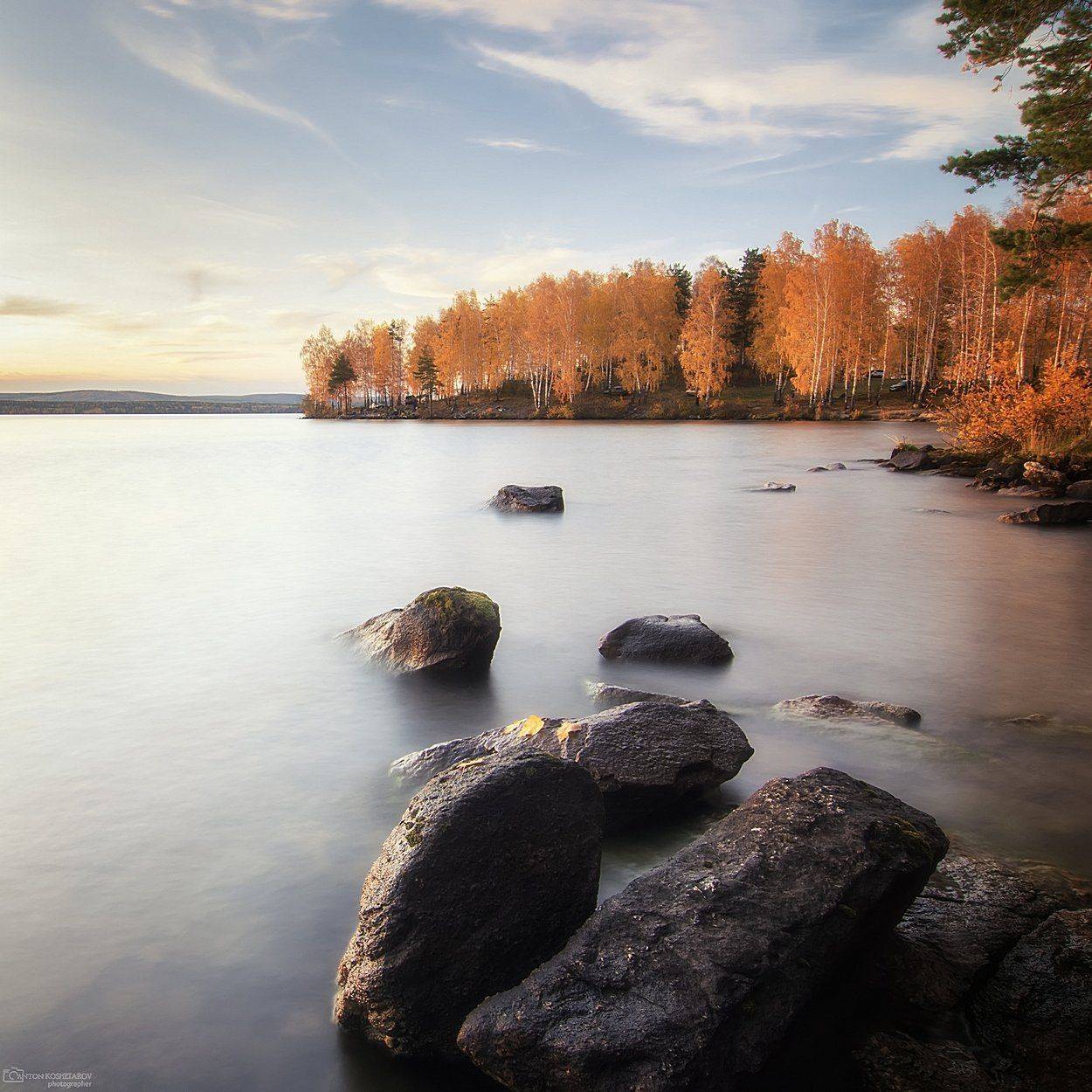 , Антон Кошетаров