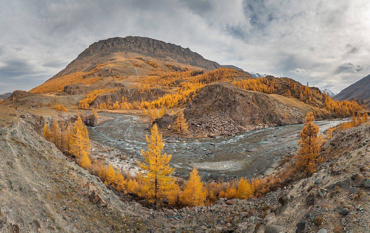 , Константин Дэм