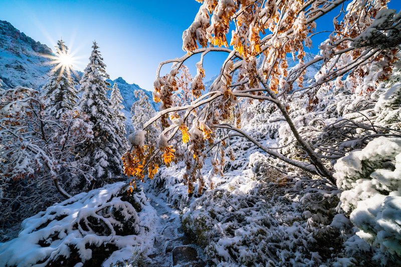landscape, stream, mountains, morskie oko, zakopane, poland, sun, green, tatry, view, trees, niebo, water, snow Connection of autumn and winter at Morskie Oko фото превью