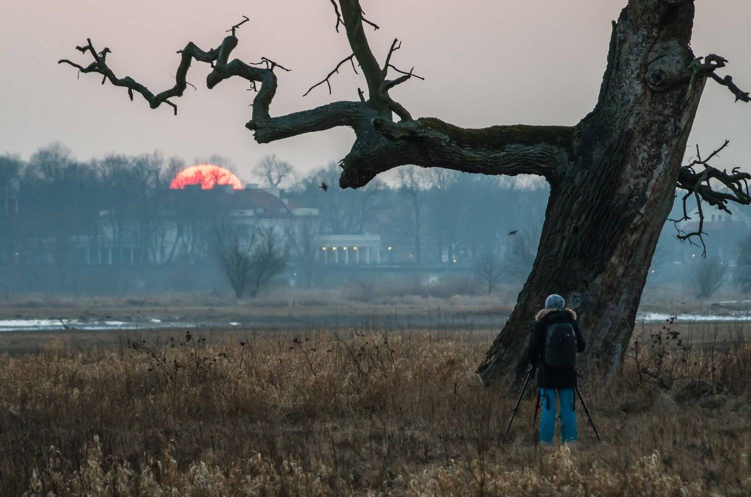 , Maciej Werbliński