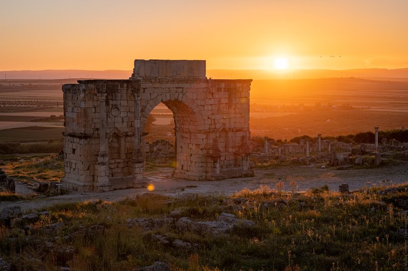 morocco africa volubilis caracalla arch arc travel landscape sunrise ancient city ruins rome Арка Каракаллы / Arch of Caracalla фото превью