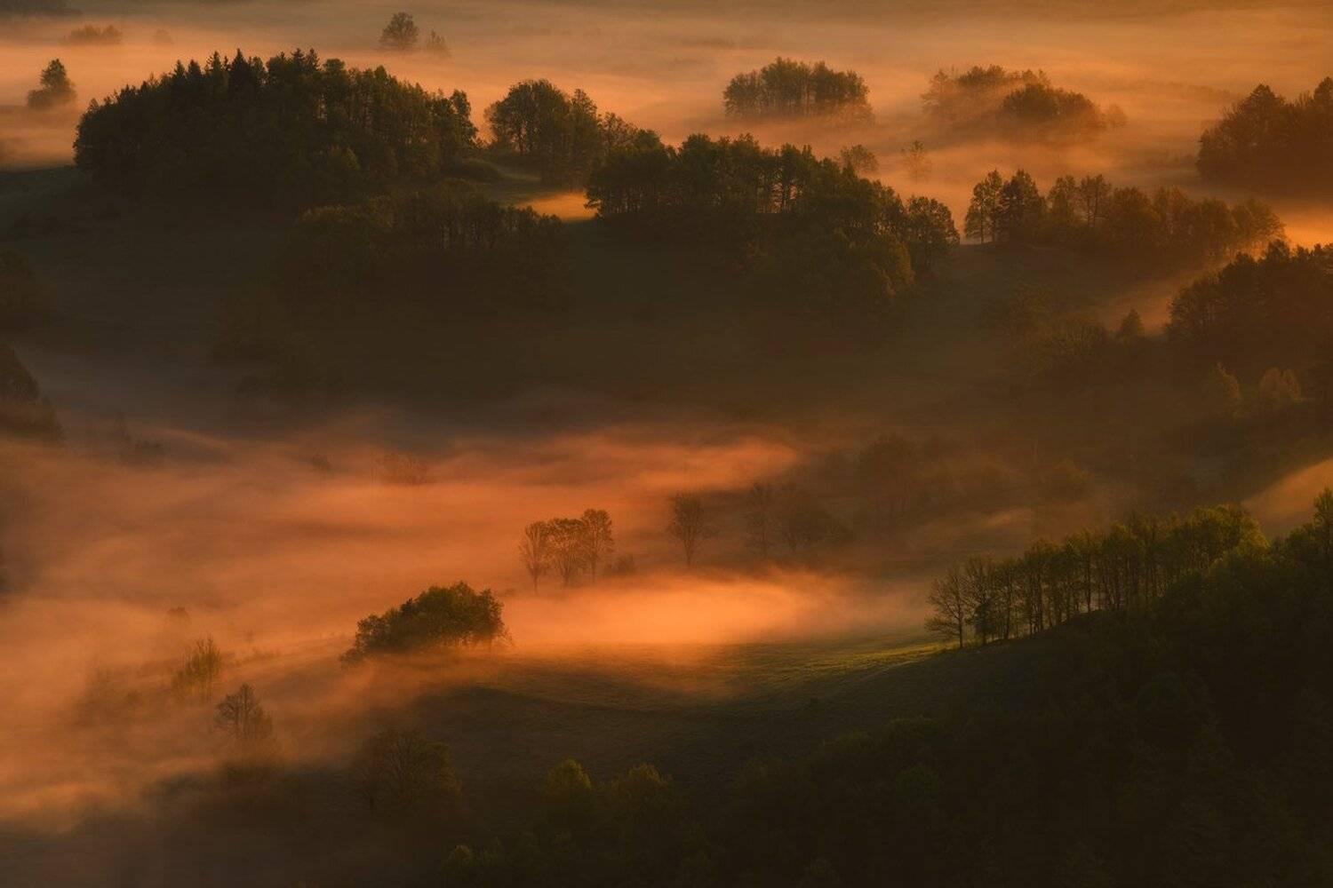 landscape,canon,mist,light,autumn, Iza i Darek Mitręga