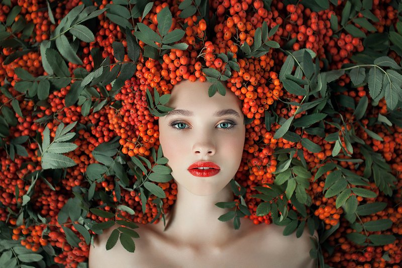 Рябина фото превью